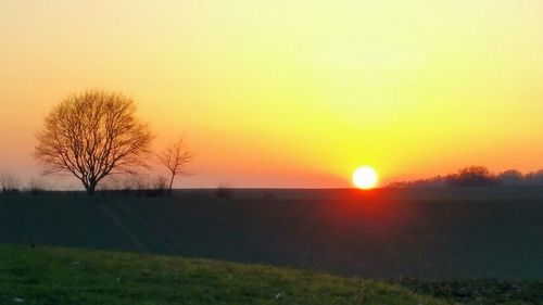 Scenic view of field against clear sky during sunset