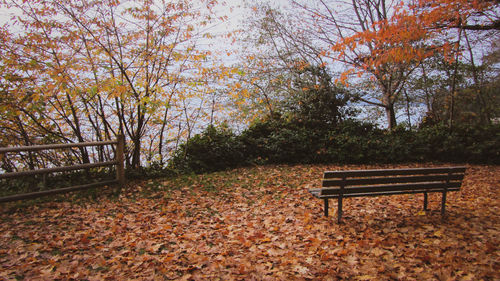Bench in park during autumn