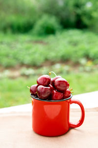 Cherry in a red glass on a background of greenery close-up. cherry harvest