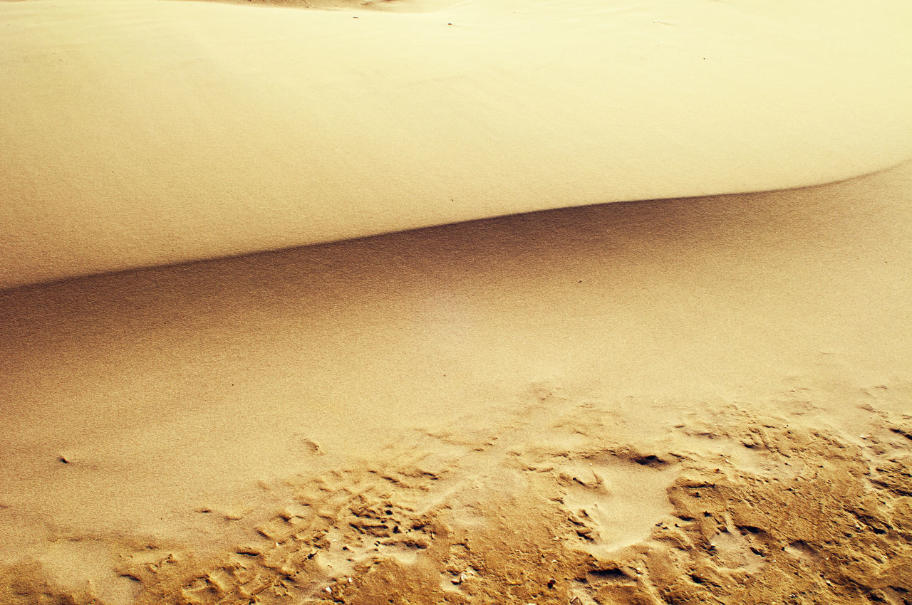 HIGH ANGLE VIEW OF FOOTPRINTS ON SAND IN DESERT