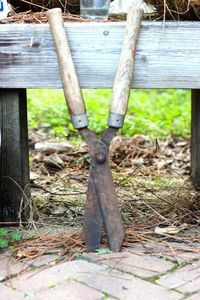 Close-up of rusty wood