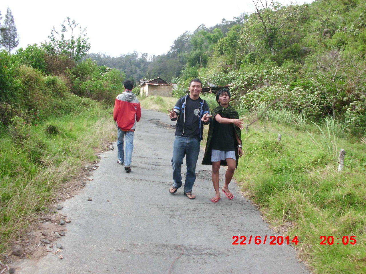 lifestyles, leisure activity, full length, rear view, men, togetherness, casual clothing, walking, person, tree, bonding, love, mountain, boys, friendship, day, grass