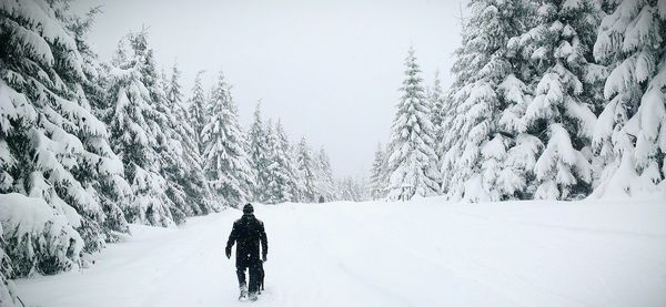 Rear view of people standing on snow covered landscape