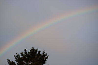 Low angle view of rainbow against clear sky