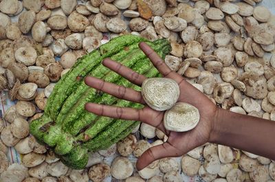 Cropped hand holding seeds