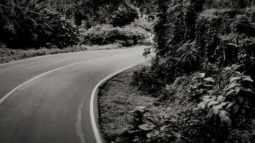 Empty road amidst trees