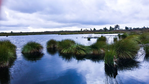 Scenic view of lake against sky