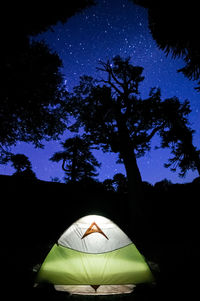 Silhouette of tree against sky at night