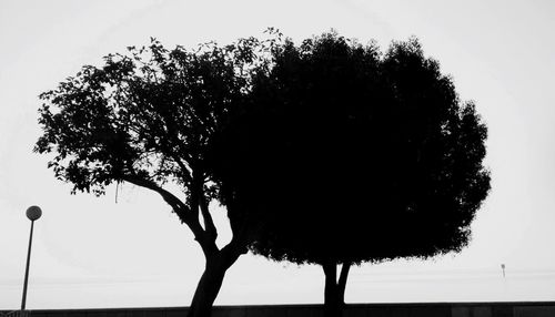 Low angle view of silhouette tree against clear sky