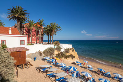 Palm trees on beach against sky