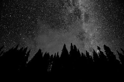 Low angle view of silhouette trees against sky at night