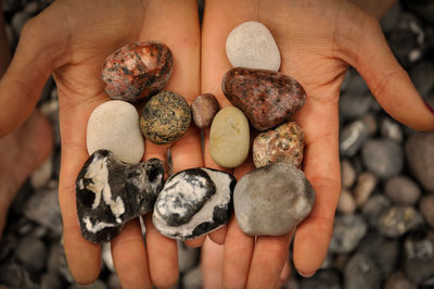 Close-up of person holding pebbles
