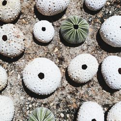 Full frame shot of rocks