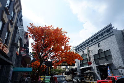 Low angle view of trees and buildings against sky