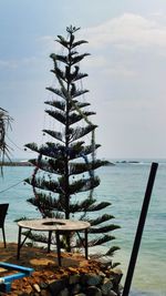 Tree by sea against sky