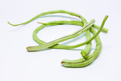 High angle view of green pepper against white background