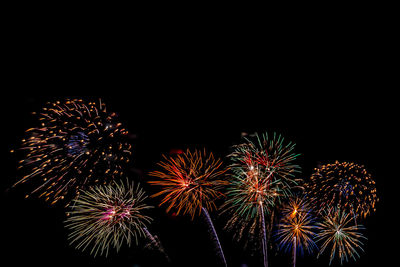 Low angle view of firework display at night