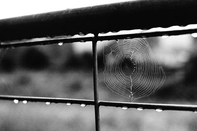 Close-up of barbed wire fence