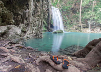 Scenic view of waterfall in forest