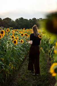 Rear view of young woman holding sunflower while standing outdoors