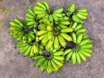 A collection of freshly harvested muli banana combs