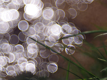 Close-up of glass against glittering lake