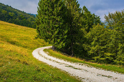 Road amidst trees and plants against sky