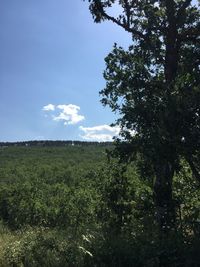 Scenic view of field against cloudy sky