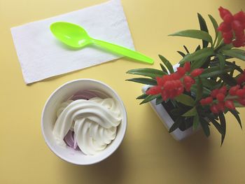 High angle view of ice cream by plant on table