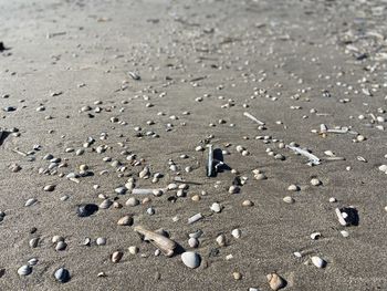 High angle view of footprints on sand at beach