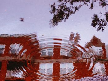 Reflection of trees in water