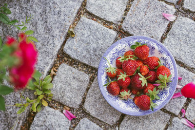 High angle view of fruits growing on footpath