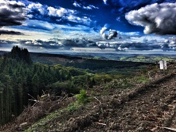 Scenic view of landscape against sky