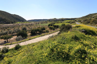 Scenic view of landscape against clear sky
