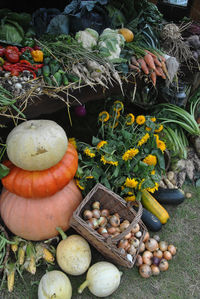 High angle view of pumpkins in park