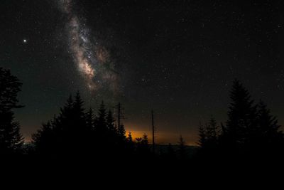 Low angle view of silhouette trees against sky at night