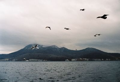 Flock of birds flying over mountain against sky