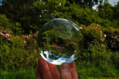 Close-up of hand holding crystal ball with reflection of trees and flowers in dulwich park, london