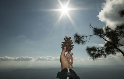 Midsection of man against sun shining over landscape