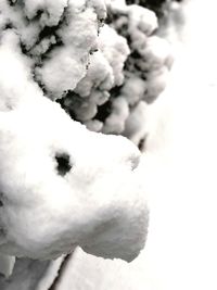 Close-up of snow