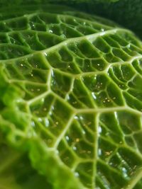 Full frame shot of water