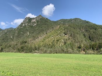 Scenic view of field against sky