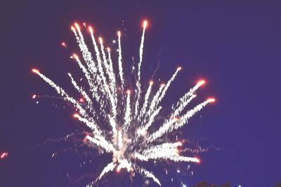 Low angle view of firework display against sky at night