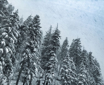 Scenic view of snow covered landscape