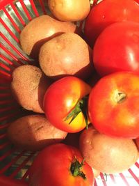 Close-up of tomatoes