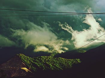 Scenic view of tree against sky