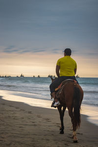 Rear view of man riding horse on beach against sky during sunset
