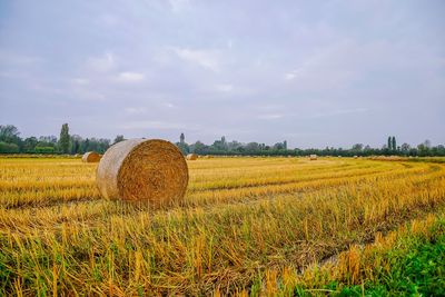 Hay bales on field against sky