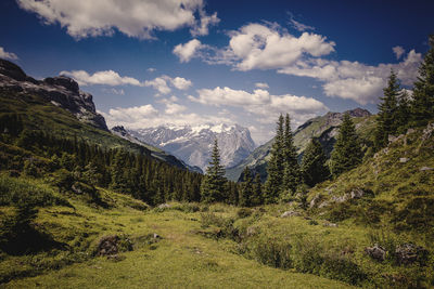 Scenic view of green landscape against cloudy sky