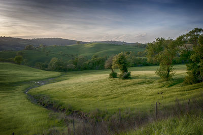 Scenic view of landscape against sky